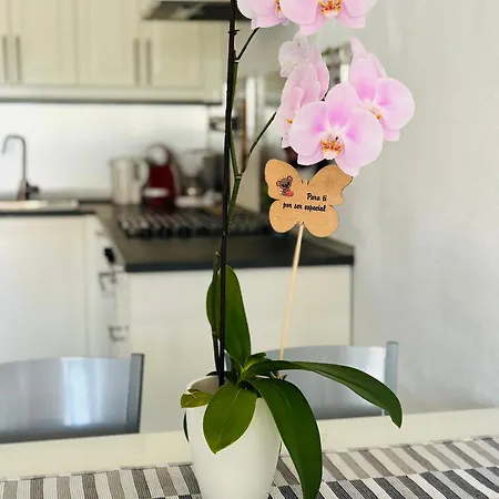 Casita * Maspalomas (Gran Canaria)